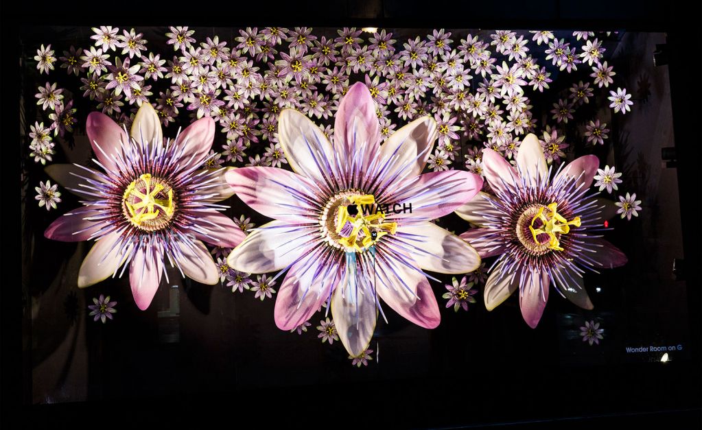 美到爆炸！蘋果Apple Watch巨幅玻璃廣告來了