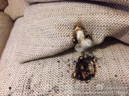 網(wǎng)友微博曝小米移動電源半夜自燃 滅火及時