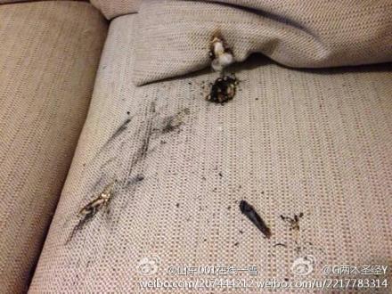 網(wǎng)友微博曝小米移動電源半夜自燃 滅火及時