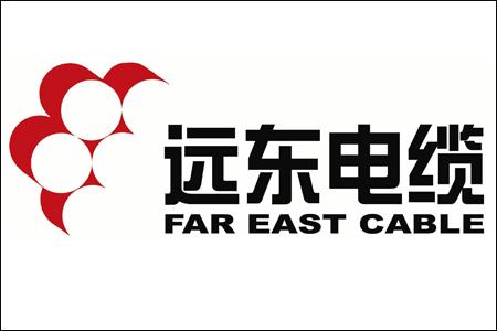 遠(yuǎn)東電纜：攜手特斯拉 掘金新能源汽車市場(chǎng)