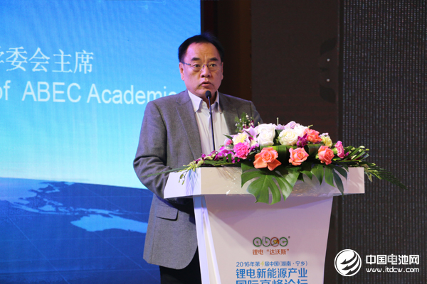 北京大學(xué)教授、鋰電“達沃斯”學(xué)委會主席 其魯