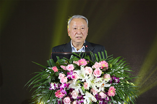 王秉剛：再生能源調整結構 電動汽車更環保