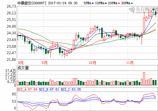 中鼎股份1.85億元再購海外新能源汽車資產(chǎn) 加速融入全球市場(chǎng)步伐