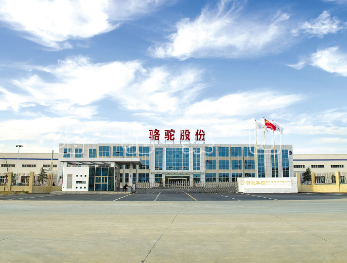 駱駝集團