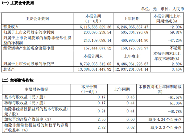 駱駝股份