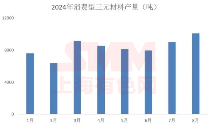 量價背離！2024下半年三元小動力市場分析